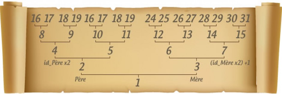 Généalogie Numérotation et transcription