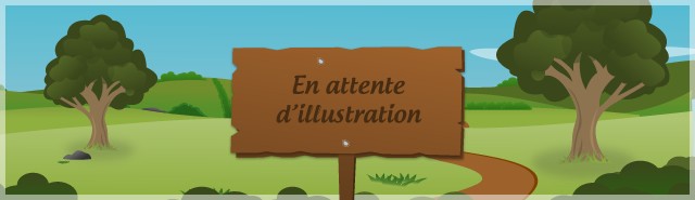 P.C.P.(PETANQUE CLUB PLOMION)